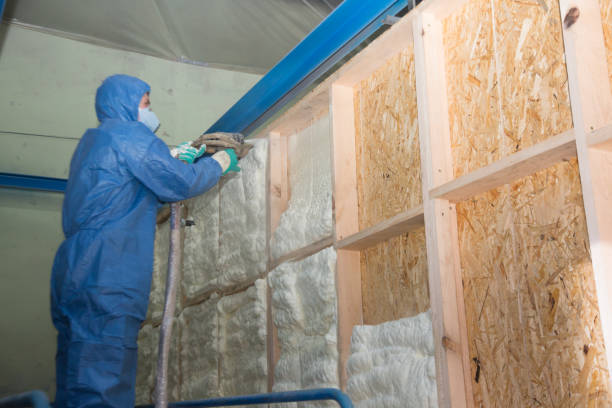 Best Cellulose Insulation  in Germantown, MD